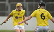 24 June 2017; Sean Eillott, left, and Ryan McGarry of Antrim celebrate after the Bank of Ireland Celtic Challenge Corn John Scott Final match between Antrim and North Cork at Netwatch Cullen Park in Carlow. Photo by Matt Browne/Sportsfile