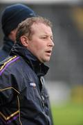 29 January 2012; Wexford manager Paul Dempsey. Bord Na Mona Walsh Shield Semi Final, Wexford v Offaly, Wexford Park, Wexford. Picture credit: Matt Browne / SPORTSFILE