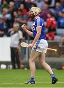 25 June 2017; Leigh Bergin of Laois celebrates at the final whistle of the GAA Hurling All-Ireland Senior Championship Preliminary Round match between Laois and Carlow at O'Moore Park in Portlaoise, Co. Laois. Photo by Ramsey Cardy/Sportsfile