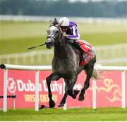 1 July 2017; Capri, with Seamie Heffernan up, on their way to winning the Dubai Duty Free Irish Derby during the Dubai Duty Free Irish Derby Festival 2017 on Saturday at the Curragh in Kildare. Photo by Seb Daly/Sportsfile