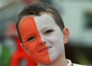 8 July 2002; A young Armagh fan at the  Armagh v Donegal, Ulster Football Final, St Tighearnachs Park, Clones, Co. Monaghan. Picture credit; Damien Eagers / SPORTSFILE