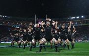 1 July 2017; The All Blacks perform the Haka, lead by captain Kieran Read, prior to kickoff during the Second Test match between New Zealand All Blacks and the British & Irish Lions at Westpac Stadium in Wellington, New Zealand. Photo by Hannah Peters/ Pool via Sportsfile