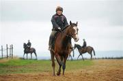 29 February 2012; Citizenship, who will run in the County Hurdle and Martin Pipe Conditional Hurdle, with Olena Sharhut up, during a yard visit ahead of the Cheltenham Festival, Commonstown Stables, Moone, Co. Kildare. Picture credit: Pat Murphy / SPORTSFILE