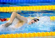 29 February 2012; Brian O'Sullivan, Leander SC, on his way to winning the Men's 200m Freestyle Final, in a time of 1:53.55, during the Irish Long Course National Swimming Championships/Olympic Trials. National Aquatic Centre, Abbotstown, Dublin. Picture credit: Brian Lawless / SPORTSFILE