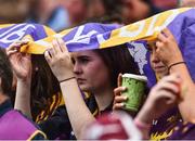 2 July 2017; Wexford supporters look on during the Leinster GAA Hurling Senior Championship Final match between Galway and Wexford at Croke Park in Dublin. Photo by David Maher/Sportsfile