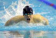 3 March 2012; Curtis Coulter, Ards, on his way to finishing third in the Men's 200m Individual Medley A Final, during the Irish Long Course National Swimming Championships/Olympic Trials. National Aquatic Centre, Abbotstown, Dublin. Photo by Sportsfile