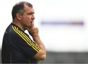 8 July 2017; Wexford manager Seamus McEnaney during the GAA Football All-Ireland Senior Championship Round 2B match between Wexford and Monaghan at Innovate Wexford Park in Co Wexford. Photo by Eóin Noonan/Sportsfile