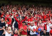 9 July 2017; Cork supporters celebrate a last minute score during the Munster GAA Hurling Senior Championship Final match between Clare and Cork at Semple Stadium in Thurles, Co Tipperary. Photo by Ray McManus/Sportsfile