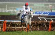 14 March 2012; Simonsig, with Barry Geraghty up, clears the last on their way to winning the Neptune Investment Management Novices' Hurdle. Cheltenham Racing Festival, Prestbury Park, Cheltenham, England. Picture credit: Brendan Moran / SPORTSFILE