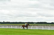 15 July 2017; Severus, with Pat Smullen up, on their way out to the start line ahead of the K Club handicap during Day 1 of the Darley Irish Oaks Weekend at the Curragh in Kildare. Photo by Eóin Noonan/Sportsfile