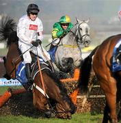 14 March 2012; Barry Geraghty is unseated by his mount Spirit River after jumping the last in the Coral Cup. Cheltenham Racing Festival, Prestbury Park, Cheltenham, England. Picture credit: Matt Browne / SPORTSFILE