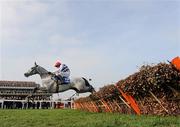 14 March 2012; Simonsig, with Barry Geraghty up, clears the last on their way to winning the Neptune Investment Management Novices' Hurdle. Cheltenham Racing Festival, Prestbury Park, Cheltenham, England. Picture credit: Brendan Moran / SPORTSFILE