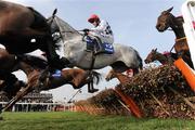14 March 2012; Simonsig, with Barry Geraghty up, clears the last 'first time round' on their way to winning the Neptune Investment Management Novices' Hurdle. Cheltenham Racing Festival, Prestbury Park, Cheltenham, England. Picture credit: Brendan Moran / SPORTSFILE