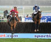 14 March 2012; Teaforthree, right, with John Thomas McNamara up, trails eventual third placed Four Commanders, with Nina Carberry up, over the last on their way to winning the Diamond Jubilee National Hunt Steeple Chase. Cheltenham Racing Festival, Prestbury Park, Cheltenham, England. Picture credit: Brendan Moran / SPORTSFILE