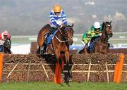 14 March 2012; Son of Flicka, with Jason Maguire up, jump the last on the way to winning the Coral Cup. Cheltenham Racing Festival, Prestbury Park, Cheltenham, England. Picture credit: Matt Browne / SPORTSFILE