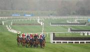 14 March 2012; A general view of the field during the Neptune Investment Management Novices' Hurdle. Cheltenham Racing Festival, Prestbury Park, Cheltenham, England. Picture credit: Brendan Moran / SPORTSFILE
