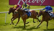 16 July 2017; Surrounding, centre, with Shane Foley up, race alongside Stormy Belle, left, with Pat Smullen up, who finished second, and New Terms, right, with Kevin Manning up, who finished third, on their way to winning the Irish Stallion Farms EBF Fillies Handicap during Day 2 of the Darley Irish Oaks Weekend at the Curragh in Kildare. Photo by Cody Glenn/Sportsfile