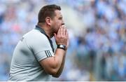 16 July 2017; Kildare manager Cian O’Neill during the Leinster GAA Football Senior Championship Final match between Dublin and Kildare at Croke Park in Dublin. Photo by Piaras Ó Mídheach/Sportsfile