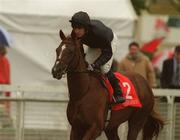 30 June 2002; New Foundland, with Pat Scallan up, at The Curragh Racecourse in Kildare. Photo by Damien Eagers/Sportsfile