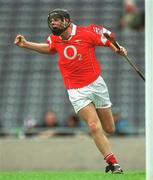 28 July 2002; Gavin O'Loughlin of Cork celebrates after scoring a goal for his side during the All-Ireland Minor Hurling Championship Quarter-Final match between Cork and Galway at Croke Park in Dublin. Photo by Ray McManus/Sportsfile