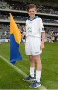 22 July 2017; Littlewoods flagbearer ahead of the GAA Hurling All-Ireland Senior Championship Quarter-Final match between Clare and Tipperary at Páirc Uí Chaoimh in Co. Cork. Photo by Cody Glenn/Sportsfile
