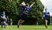 26 July 2017; Harry Armstrong in action, at the Bank of Ireland Leinster Rugby School of Excellence, at The King's Hospital in Dublin. Photo by Sam Barnes/Sportsfile