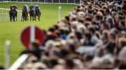 31 July 2017; A general view of the field during the Claregalwayhotel.ie (C&G) Irish EBF Maiden during the Galway Races Summer Festival 2017 at Ballybrit, in Galway. Photo by Cody Glenn/Sportsfile