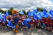 1 August 2017; Leo The Lion ahead of an open training session at Arklow RFC in Arklow, Co Wicklow. Photo by Ramsey Cardy/Sportsfile