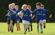 2 August 2017; Caoimhe Scully in action against Eoin Simpson, left, and Dan Kelly during a Bank of Ireland Leinster Rugby Summer Camp at Gorey RFC in Gorey, Co Wexford. Photo by Matt Browne/Sportsfile