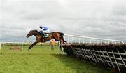 9 April 2012; Abou Ben, with Paul Carberry up, during the Rathbarry & Glenview Studs Novice Hurdle. Fairyhouse Racecourse, Co. Meath. Picture credit: Stephen McCarthy / SPORTSFILE