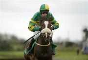 9 April 2012; Karabak, with Mark Walsh up, during the Keelings Irish Strawberry Hurdle. Fairyhouse Racecourse, Co. Meath. Picture credit: Stephen McCarthy / SPORTSFILE