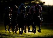 4 August 2017; Runners and riders in the Budweiser Race during the Galway Races Summer Festival 2017 at Ballybrit, in Galway. Photo by Cody Glenn/Sportsfile