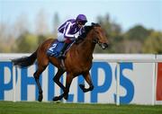 15 April 2012; Furner's Green, with Joseph O'Brien up, on their way to winning the Leopardstown 2,000 Guineas Trial Stakes. Leopardstown Racecourse, Leopardstown, Co. Dublin. Picture credit: Barry Cregg / SPORTSFILE
