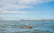 8 August 2017; The 87th Dún Laoghaire Harbour Race takes place on Sunday next 13th August with over 300 swimmers taking to the waters of Dún Laoghaire Harbour. As this year also marks the Bicentenary of Dún Laoghaire Harbour, the race will be a special occasion for sea swimmers, spectators and the citizens of Dún Laoghaire. Each weekend from June to September Leinster Open Sea in partnership with the swimming clubs of Leinster run approximately forty Open Sea Races along the coast of Dublin and Wicklow. The Dún Laoghaire Harbour Race along with the Jones Engineering Dublin City Liffey Swim are the top two “blue ribbon” races on the Open Sea Calendar in Ireland. In attendance at the launch in Dun Laoghaire Harbour in Dún Laoghaire, Co. Dublin, is Johanna Pinto Lee. Photo by Brendan Moran/Sportsfile
