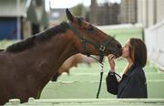 8 August 2017; Mahiri Rawluk, from Malahide, Co Dublin, comforts Dawn Chorus while Dawn Chorus is washed ahead of the Dublin Horse Show at the RDS in Ballsbridge, Dublin. Photo by Cody Glenn/Sportsfile