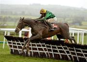 25 April 2012; Cootamundra, with Robbie Moran up, jumps the last during the Irish Daily Mirror War Of Attrition Novice Hurdle. Punchestown Racing Festival, Punchestown, Co. Kildare. Picture credit: Stephen McCarthy / SPORTSFILE