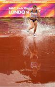 9 August 2017; Rosie Clarke of Great Britain during round one of the Women's 3000m Steeplechase event during day six of the 16th IAAF World Athletics Championships at the London Stadium in London, England. Photo by Stephen McCarthy/Sportsfile