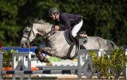 9 August 2017; Liam O'Meara of Ireland competes on Russel Style during the Inter 3 - International 7 & 8 Year Olds  at the Dublin Horse Show at the RDS in Ballsbridge, Dublin. Photo by Cody Glenn/Sportsfile