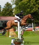 10 August 2017; Karen Polle of Japan competing on Little Lord 90 during The Speed Derby by The Clayton Hotel Ballsbridge at the Dublin Horse Show at the RDS in Ballsbridge, Dublin. Photo by Cody Glenn/Sportsfile