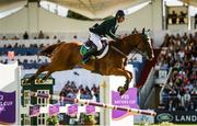 11 August 2017; Denis Lynch of Ireland fails to clear an obstacle on Rmf Echo during the FEI Nations Cup during the Dublin International Horse Show at RDS, Ballsbridge in Dublin. Photo by Cody Glenn/Sportsfile