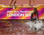 11 August 2017; Purity Cherotich Kirui of Kenya competes in the final of the Women's 3000m Steeplechase event during day eight of the 16th IAAF World Athletics Championships at the London Stadium in London, England. Photo by Stephen McCarthy/Sportsfile