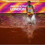 11 August 2017; Etenesh Diro of Ethiopia competes in the final of the Women's 3000m Steeplechase event during day eight of the 16th IAAF World Athletics Championships at the London Stadium in London, England. Photo by Stephen McCarthy/Sportsfile