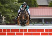 12 August 2017; Co-winner Daniel Coyle of Ireland clearing the highest obstacle on Cavalier Rusticana in the Land Rover Puissance during the Dublin International Horse Show at RDS, Ballsbridge in Dublin. Photo by Cody Glenn/Sportsfile