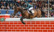 12 August 2017; Eventual co-winner Daniel Coyle of Ireland clears the obstacle on Cavalier Rusticana in the Land Rover Puissance during the Dublin International Horse Show at RDS, Ballsbridge in Dublin. Photo by Cody Glenn/Sportsfile