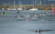 13 August 2017; Frank Chatham of North Dublin Swimming Club on his way to winning the 87th Dún Laoghaire Harbour Swim Race at Dún Laoghaire Harbour in Dublin. Photo by Ramsey Cardy/Sportsfile