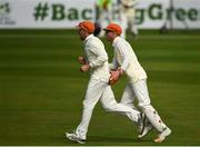 15 August 2017; Logan van Beek of Netherlands, left, celebrates after he caught out William Porterfield of Ireland during the ICC Intercontinental Cup match between Ireland and Netherlands at Malahide in Co Dublin. Photo by David Fitzgerald/Sportsfile