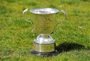 7 May 2012; The Under-15 McAuley Cup trophy. Under-15 McAuley Cup Final, Navan RFC v Enniscorthy RFC, Donnybrook Stadium, Donnybrook, Co. Dublin. Picture credit: Ray McManus / SPORTSFILE