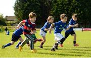17 August 2017; Attendees in action during the Bank of Ireland Leinster Rugby Summer Camp at Clontarf RFC in Castle Avenue, Clontarf, Dublin. Photo by Cody Glenn/Sportsfile