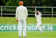 17 August 2017; Fred Klaasen of Netherlands, right, catches out Ed Joyce of Ireland during the ICC Intercontinental Cup match between Ireland and Netherlands at Malahide in Co Dublin. Photo by Sam Barnes/Sportsfile