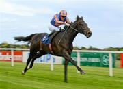 13 May 2012; Cougar Ridge, with Billy Lee up, on their way to winning the Irish Stallion Farms European Breeders Fund Auction Maiden. Leopardstown Racecourse, Leopardstown, Co. Dublin. Picture credit: Barry Cregg / SPORTSFILE